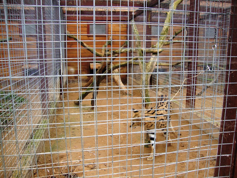 DSC03406.JPG